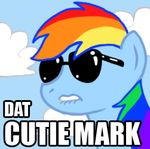  blue_fur english_text equine eyewear female feral friendship_is_magic fur hair horse image_macro low_res macro mammal meme multi-colored_hair my_little_pony pony rainbow_dash_(mlp) rainbow_hair solo sunglasses text unknown_artist 