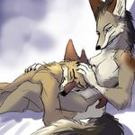  canine couple coyote cute female jackal jaraku love male romantic sleeping straight sulacoyote white_background 