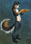  black_hair border_collie bushy_tail canine chest_tuft collar dog gesture green_eyes hair jeans jijix male revolver_ocelot shoes short_hair solo standing tail topless 