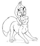  breasts canine female fox michael_higgs multi_breast open_mouth solo stretch taur tongue yawn 