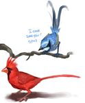  avian bird blue funny humour hyenahyena red 