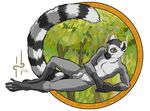  anthro balls forest gay hufnaar lemur looking_at_viewer lying male mammal nude plain_background pose primate sheath solo tail tree white_background wood yellow_eyes 
