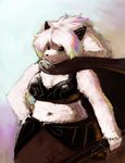  canine cape chubby cute female fox myojinius oekaki solo sword weapon 