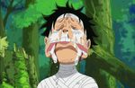  amazon_lily animated animated_gif brothers cry death gif jimbei lowres monkey_d_luffy one_piece portgas_d._ace siblings tears 