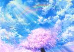  clouds petals rainbow sky tree 