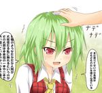  ascot bandages blush efe face fang green_hair kazami_yuuka out_of_frame petting plaid plaid_vest red_eyes solo_focus touhou translated tsundere vest 