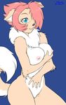  anthro breasts canine dog female mammal neck_ruff nipples nude pussy skidd solo 