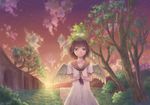  angel evening haibane_renmei halo highres miya8111 rakka sailor_collar sky smile solo sun sunlight sunset tree twilight 