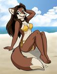  2009 beach bikini breasts canine choker color dhole erin_middendorf female nina pose seaside skimpy solo 