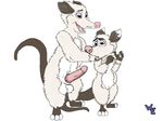 heather incest o_0 over_the_hedge ozzy penis possum virginia_opossum 