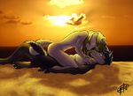  beach bright_eyes canine cuddle cute female foxywolf love male seaside straight sunset wolf 