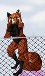  against_fence female fence jaijai mammal nude red_panda solo 