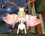  kumol mogmod mogran moogle oblivion the_elder_scrolls 