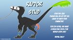  2008 ashton_greenwood background_gradient claws cloaca dinosaur english_text erection feathers feral male penis plague pocketbat_inc raptor raptor_stud_service scalie 