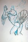  avian butt gryphon male nude solo tyelle_niko 