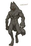  black_fur canine featureless_crotch fur male mammal pixiv pixiv_fantasia plain_background solo tagging_guidelines_illustrated unknown_artist were werewolf white_background wolf 