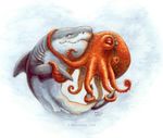  couple cute dorsal_fin eyes_closed female hug male marine meglyman octopus shark straight tentacles 