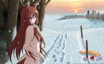  animal_ears apple brown_hair flowers horo long_hair red_eyes snow spice_and_wolf wolfgirl 