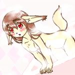 canine female fox kin-shun mammal plain_background solo water white_background 