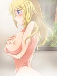  blonde_hair blue_eyes blush breast_rest breast_squeeze breasts charlotte_dunois covering covering_breasts huge_breasts infinite_stratos long_hair nude painting_(object) shiny shiny_skin solo steam tsubooi 