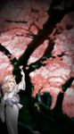  cherry_blossoms ghost hat japanese_clothes petals pink_eyes pink_hair saigyouji_yuyuko solo tou_ko_(dinadice) touhou tree 