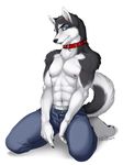  blue_jeans canine clothing collar dog holly_marie_ogburn husky male pants solo 