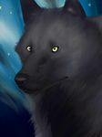  canine feral fur mammal non-anthro portrait roarwolf solo wolf yellow_eyes 