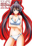  bad_id bad_pixiv_id bikini black_hair green_eyes infinite_stratos long_hair ponytail shinonono_houki solo sumeragi_tomo swimsuit 