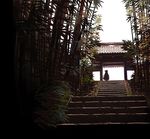  architecture arioto bamboo bamboo_forest east_asian_architecture forest fujiwara_no_mokou gate nature silhouette solo touhou 