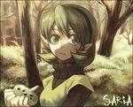  face green_eyes green_hair green_hairband hairband instrument lowres nature ocarina pointy_ears saria solo tem_(artist) the_legend_of_zelda the_legend_of_zelda:_ocarina_of_time 