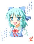  amasawa_natsuhisa bad_id bad_pixiv_id blue_eyes blue_hair cirno ribbon solo touhou 