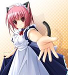  cat_ears catgirl female hair maid maid_uniform pink_eyes pink_hair solo tail unknown_artist 