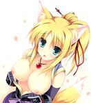  :o animal_ears aqua_eyes bare_shoulders blonde_hair blush breasts dog_days fang fingerless_gloves fox_ears fox_tail from_above gloves green_eyes jewelry large_breasts long_hair necklace nipples open_clothes open_mouth open_shirt petals ponytail shirt solo tail tateha_(marvelous_grace) yukikaze_panettone 