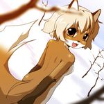  back breasts brown brown_eyes canine fang female fox hair koga looking_at_viewer nude pose short_hair side_boob snow solo tail unknown_artist 