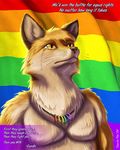  canine crying english_text fox fursecution fursecution_fox gandhi gay_pride gay_rights male matt_willard necklace pride rainbow rainbow_flag rainbow_necklace rainbow_symbol solo taurin_fox tears 