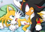  anal anal_penetration canine fox gay male miles_prower mobian penetration penis rear_deliveries shadow_the_hedgehog sonic_(series) 