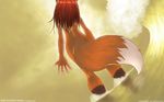  2008 anthro back canine female fox solo tail tailsrulz water wave 