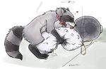  &hearts; kiwaku male nude raccoon sex trash 