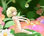  arinko_(kashizu_ringo) blonde_hair face flat_chest flower hands kashizu_ringo leaf messy_hair minigirl navel nude one_eye_closed original outstretched_arms purple_eyes short_hair smile solo water_drop 