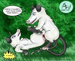  blood defloration dialogue female heather incest male over_the_hedge ozzy possum rape virgin virginia_opossum 
