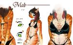  cat feline female mab model_sheet solo tattoo underwear 