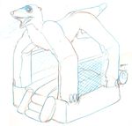  ferret inanimate inflatable mustelid swatcher transformation 