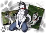  alpha_channel animal blue_eyes blue_jeans canine collar dog feral husky male pants photo real seirruf_(character) solo unzipped 