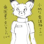  canine female fox japanese_text myojinius nurse solo translated uniform 