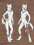  anatomically_correct_pussy animal_genitalia breasts canine canine_pussy canine_vagina comparison female keershang loincloth mammal model_sheet multi_breast multi_nipple nipples nude pussy solo standing toots toots_(artist) tribal underwear wolf 