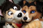  bandanna blue_eyes border_collie brown_eyes canine char cute dog ears frisbee_(character) fursuit hi_res kellogg looking_at_viewer mammal photo pose real spots 