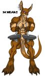  barbell biceps black-rat claws ear_piercing earring ears eyes female kangaroo keanon_woods mammal marsupial muscles muscular_female nose piercing plain_background solo tail teeth weight white_background 