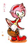  amy_rose japanese_text sega solo sonic_(series) translated urahyu 