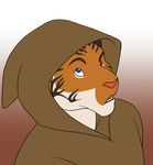  cloak feline holly_marie_ogburn male portrait solo tiger 