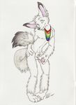  canine erection fennec fox kwik male necklace nude penis rainbow rainbow_necklace rainbow_symbol solo 
